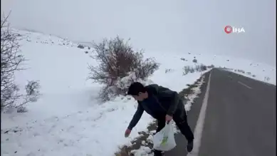 Genç Bir Kalp, Aç Hayvanlara Umut Oluyor
