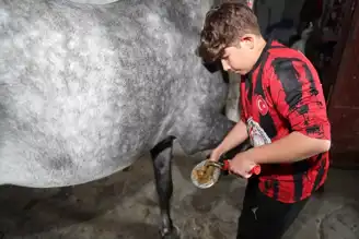 Genç Ciritçi Şampiyonluğu Hedefliyor