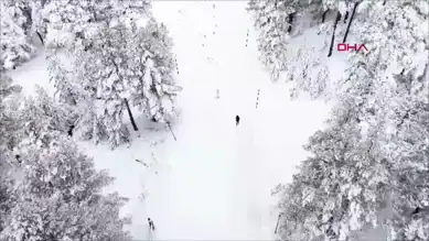 Kışın Büyülü Tabiat Parkı: Beyaz Bir Masal