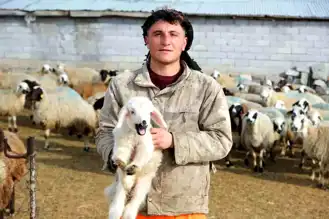 Engelli Kuzuya Köylünün Sevgi Dolu Bakımı