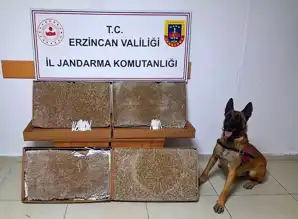 Erzincan Jandarma'nın Ocak 2025 Raporu