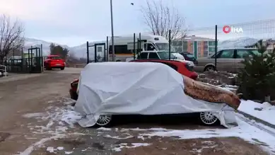 Erzincan'da Soğuğa Karşı Araçlar Korunuyor