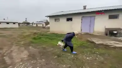Erzincan'da Kadın Çiftçilere Destek Arttı