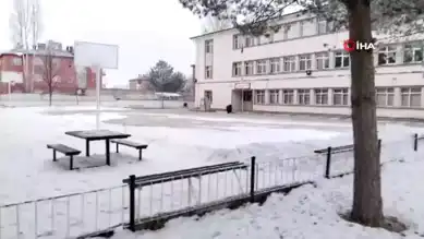 Erzincan'da Donan Kargalar