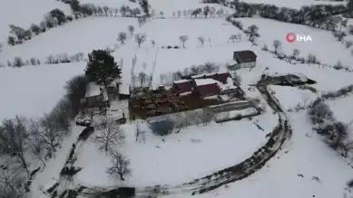 Erzincan'da Kar, Koyun Sürülerini Yayladan İndirdi