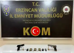 Erzincan'da Ruhsatsız Silah Operasyonu: 4 Gözaltı