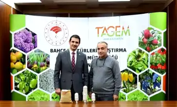 Erzincan'dan İki Yeni Kuru Fasulye Çeşidi: Işıl ve Erzincan Dermasonu