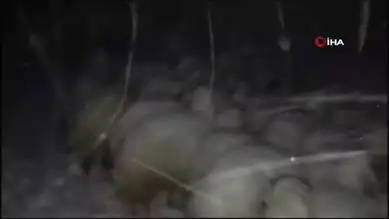 Kış Fırtınası Çobanı Tehlikeye Attı