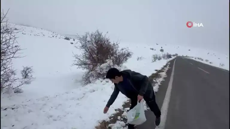 Genç Bir Kalp, Aç Hayvanlara Umut Oluyor