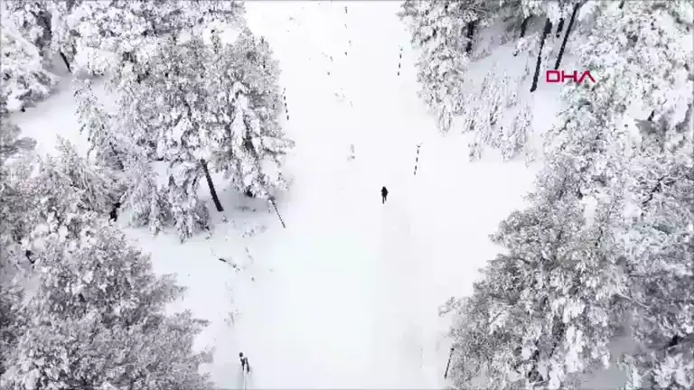 Kışın Büyülü Tabiat Parkı: Beyaz Bir Masal