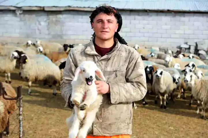 Engelli Kuzuya Köylünün Sevgi Dolu Bakımı
