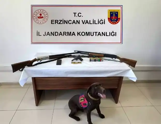 Doğu Anadolu Bölgesinde Kasım Ayı Jandarma Faaliyetleri