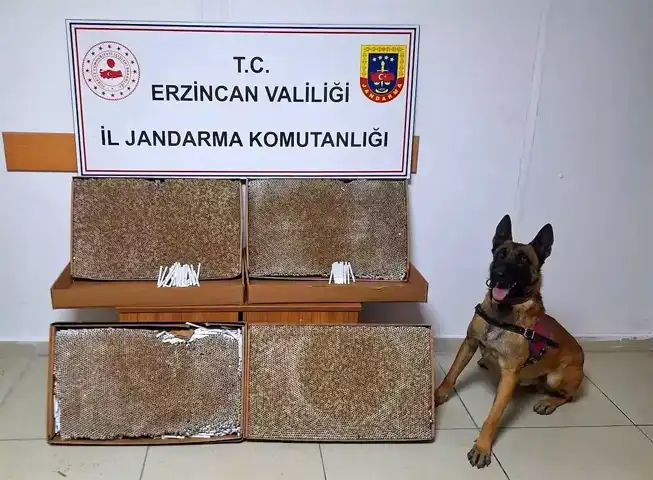 Erzincan Jandarma'nın Ocak 2025 Raporu