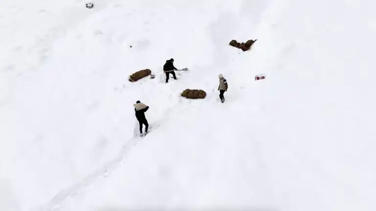 Doğu Anadolu'da Kış Savaşında Yaban Hayatı Destekleniyor