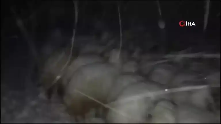 Kış Fırtınası Çobanı Tehlikeye Attı